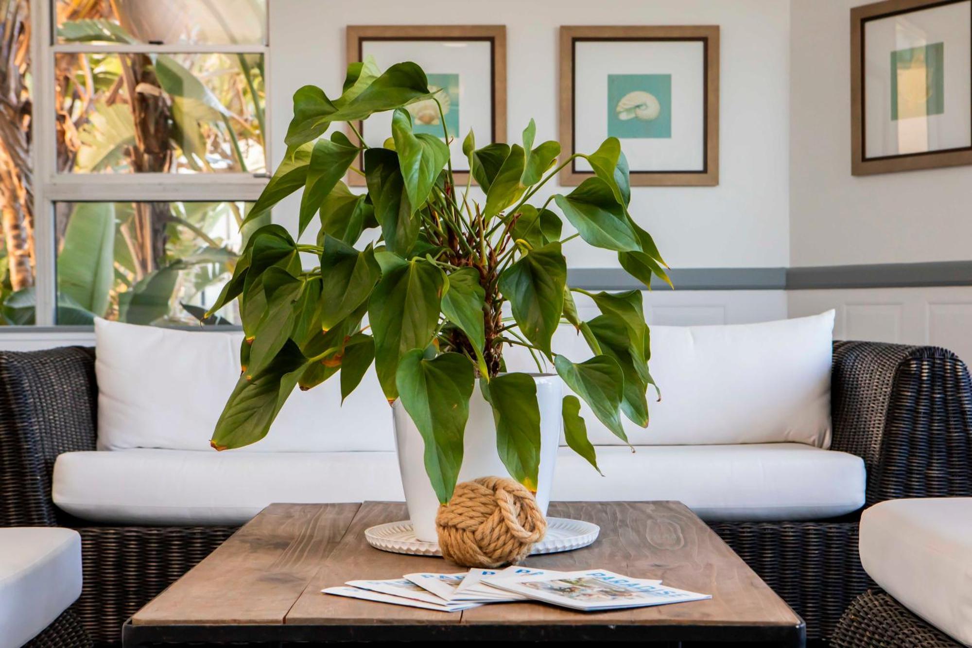 Pacific Plaza Apartments Gold Coast Zewnętrze zdjęcie
